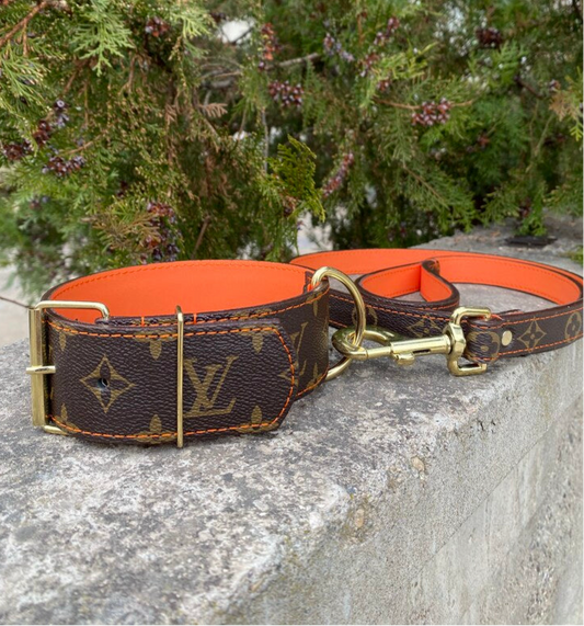 - Collar and Leash Set