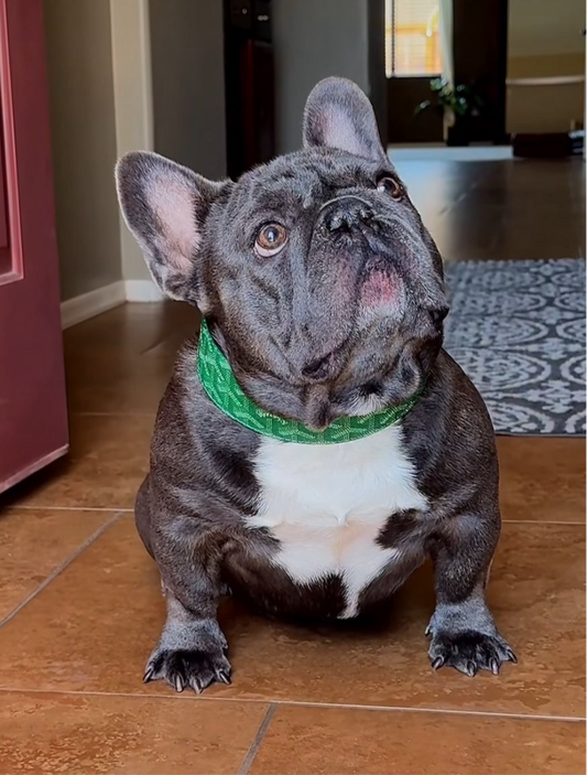 - Green Collar Set