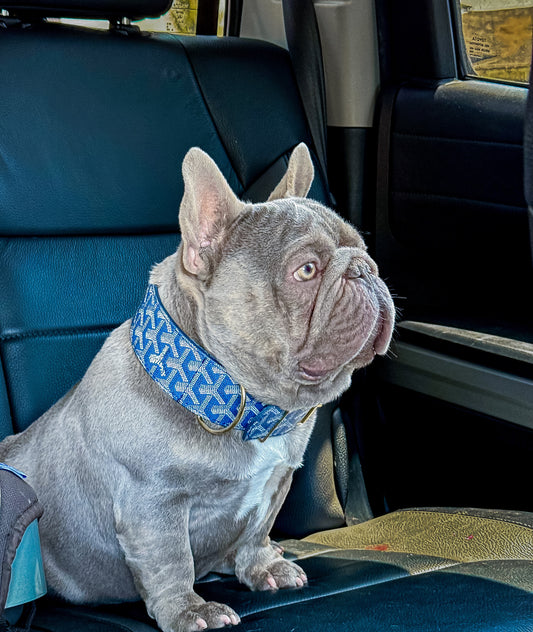 - Blue Collar Set