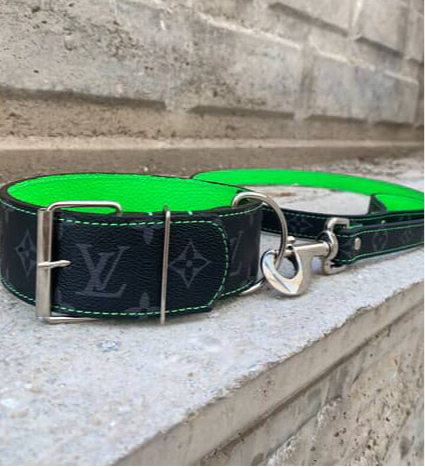 - Black, Green Edition Collar Set
