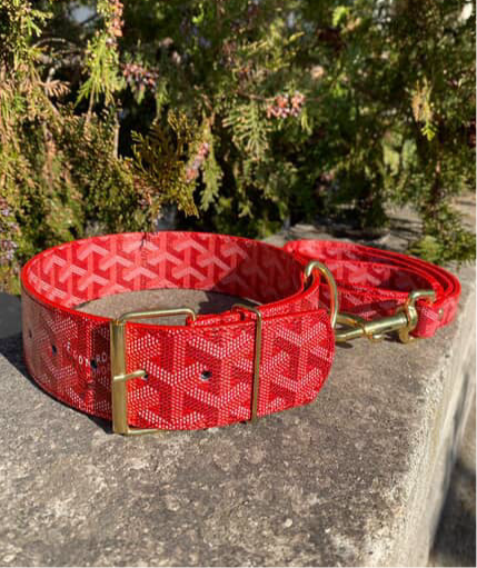 -  Red Collar Set