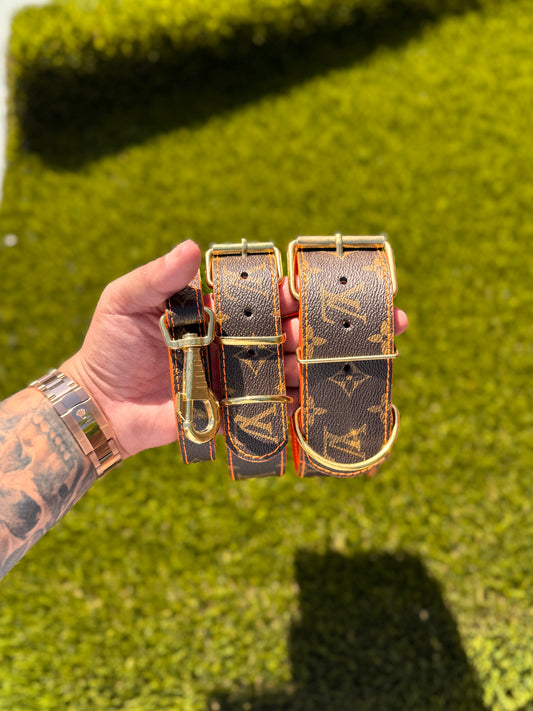 - Collar and Leash Set