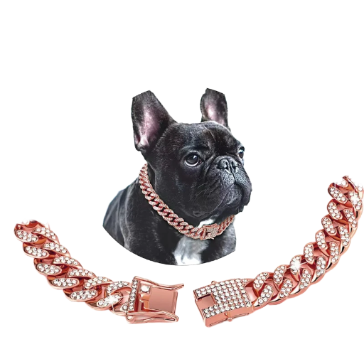 - Cuban Chain Rose